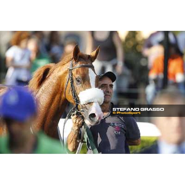 Keshiro Roma,Capannelle racecourse,27th oct.2013 ph.Stefano Grasso