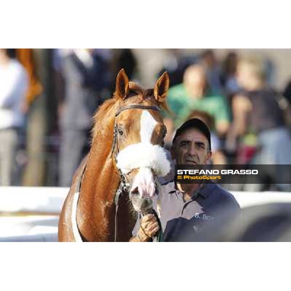 Keshiro Roma,Capannelle racecourse,27th oct.2013 ph.Stefano Grasso