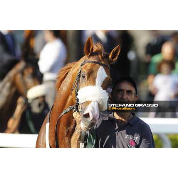 Keshiro Roma,Capannelle racecourse,27th oct.2013 ph.Stefano Grasso