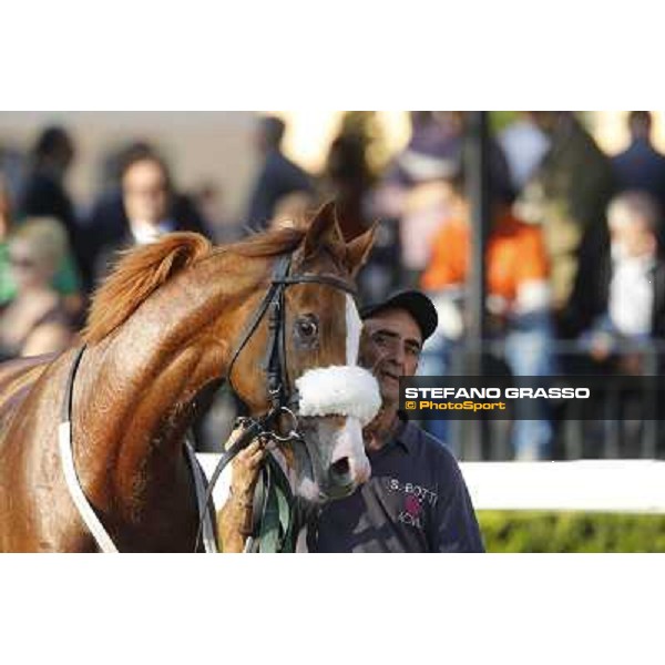 Keshiro Roma,Capannelle racecourse,27th oct.2013 ph.Stefano Grasso