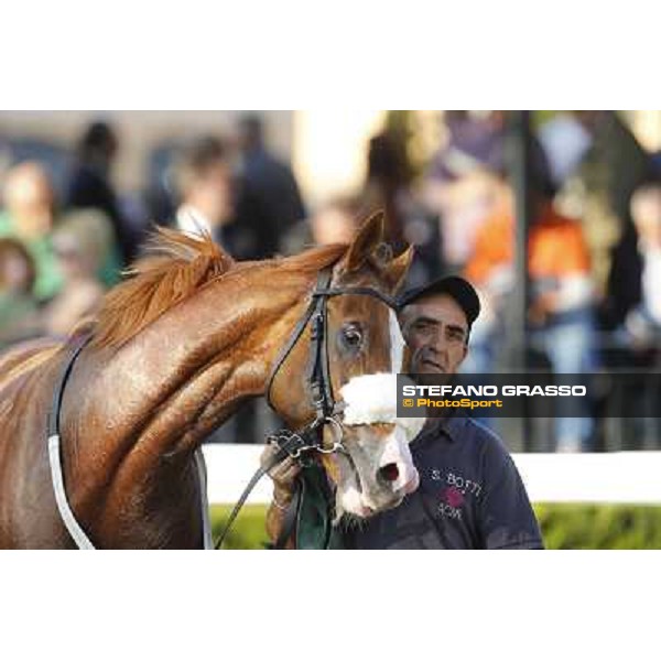 Keshiro Roma,Capannelle racecourse,27th oct.2013 ph.Stefano Grasso