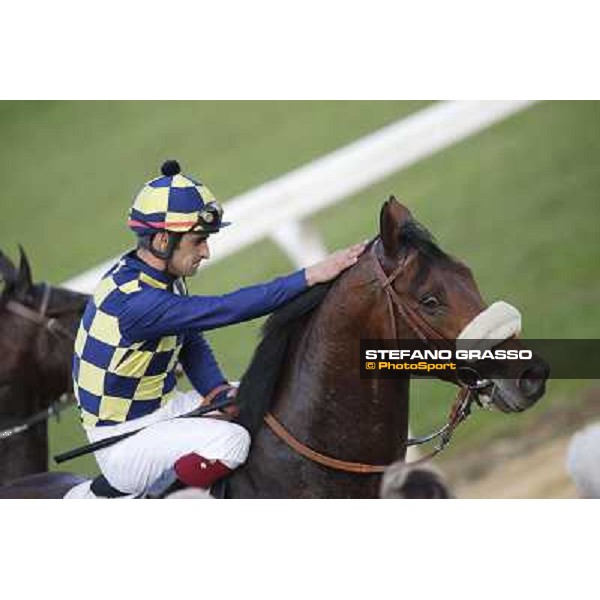 Fabio Branca on Douce Vie returns home after winning the Premio Nearco Roma,Capannelle racecourse,27th oct.2013 ph.Stefano Grasso