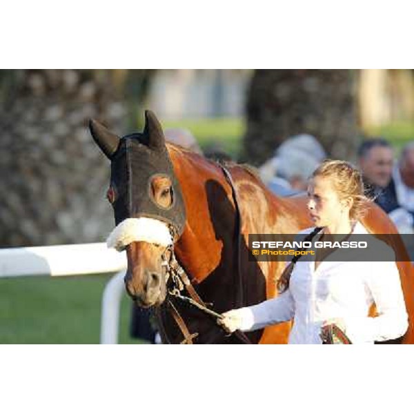 Kadabra Roma,Capannelle racecourse,27th oct.2013 ph.Stefano Grasso