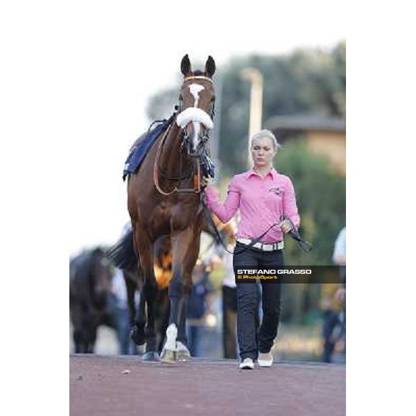 Adriana Roma,Capannelle racecourse,27th oct.2013 ph.Stefano Grasso