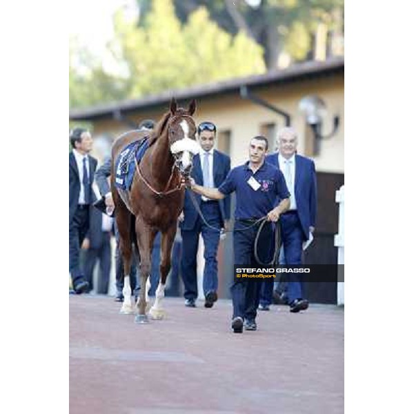 Charity Line before winning the Gran Premio Longines Lydia Tesio Roma,Capannelle racecourse,27th oct.2013 ph.Stefano Grasso