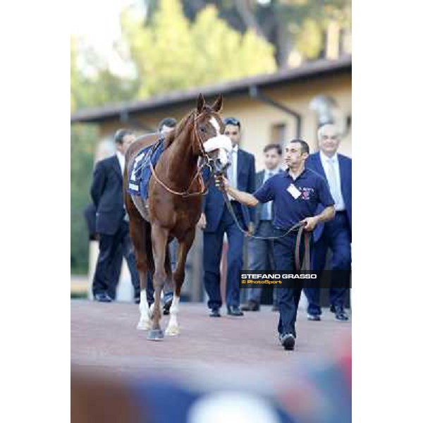 Charity Line before winning the Gran Premio Longines Lydia Tesio Roma,Capannelle racecourse,27th oct.2013 ph.Stefano Grasso