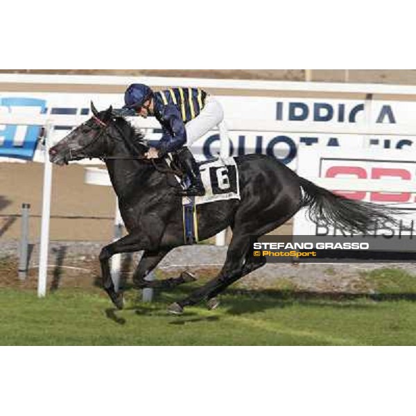 Dario Vargiu on Konkan wins the Criterium Femminile Roma,Capannelle racecourse,3rd nov.2013 ph.Stefano Grasso
