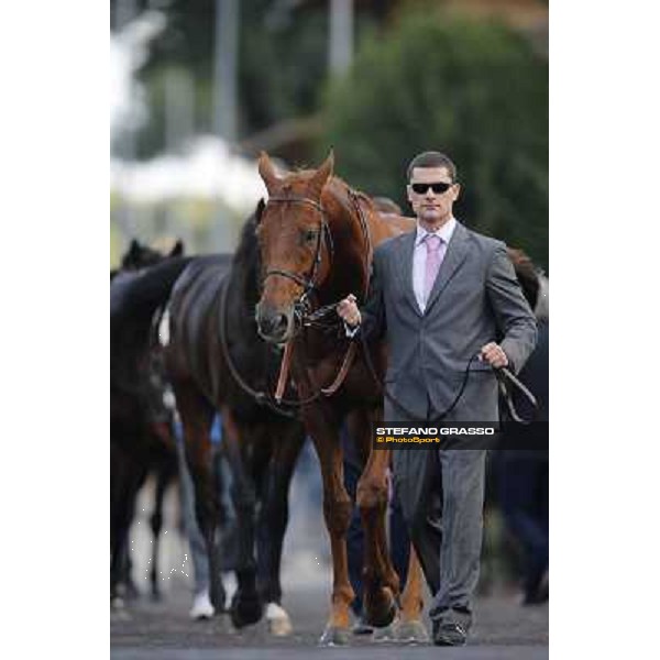 Shamalgan Premio Roma GBI Racing Roma,Capannelle racecourse,3rd nov.2013 ph.Stefano Grasso