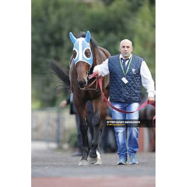 Lodovico il Moro Premio Roma GBI Racing Roma,Capannelle racecourse,3rd nov.2013 ph.Stefano Grasso