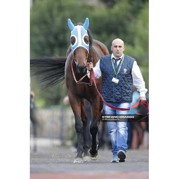 Lodovico il Moro Premio Roma GBI Racing Roma,Capannelle racecourse,3rd nov.2013 ph.Stefano Grasso