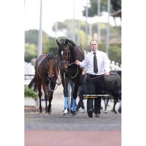 Orsino Premio Roma GBI Racing Roma,Capannelle racecourse,3rd nov.2013 ph.Stefano Grasso