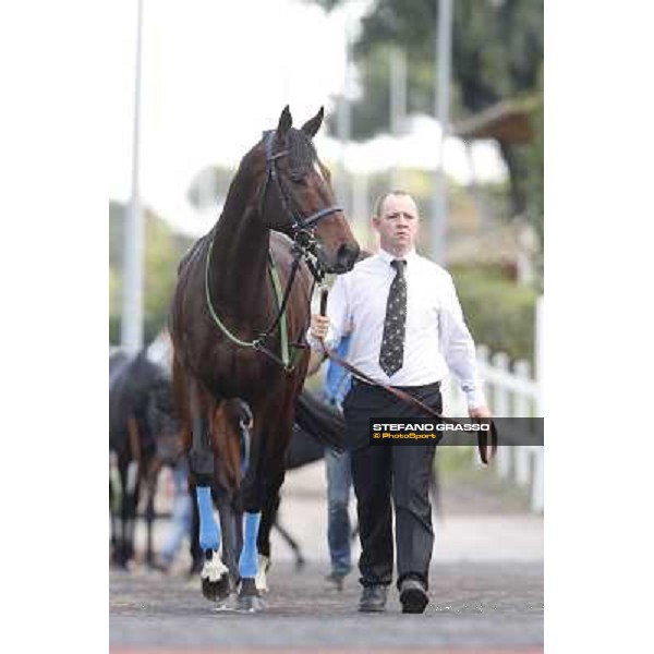 Orsino Premio Roma GBI Racing Roma,Capannelle racecourse,3rd nov.2013 ph.Stefano Grasso