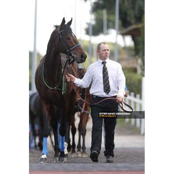 Orsino Premio Roma GBI Racing Roma,Capannelle racecourse,3rd nov.2013 ph.Stefano Grasso