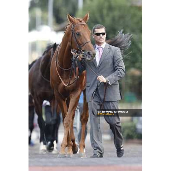 Shamalgan Premio Roma GBI Racing Roma,Capannelle racecourse,3rd nov.2013 ph.Stefano Grasso