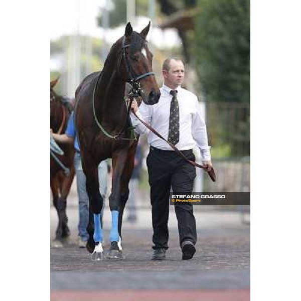 Orsino Premio Roma GBI Racing Roma,Capannelle racecourse,3rd nov.2013 ph.Stefano Grasso