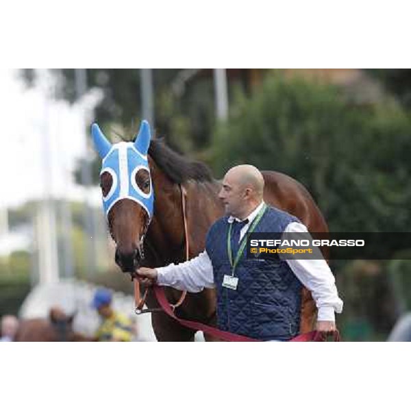 Lodovico il Moro Premio Roma GBI Racing Roma,Capannelle racecourse,3rd nov.2013 ph.Stefano Grasso