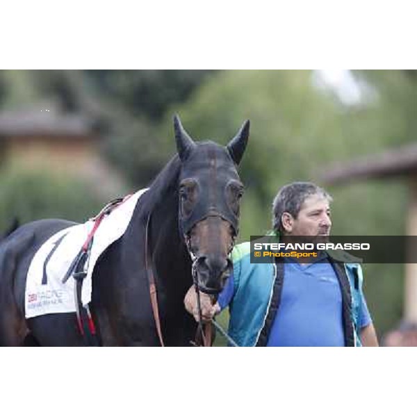 Dogma Noir Premio Roma GBI Racing Roma,Capannelle racecourse,3rd nov.2013 ph.Stefano Grasso