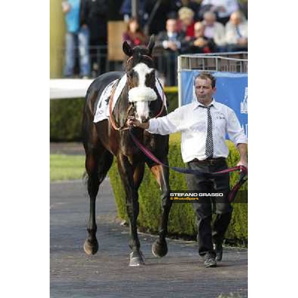 Vedelago Premio Roma GBI Racing Roma,Capannelle racecourse,3rd nov.2013 ph.Stefano Grasso