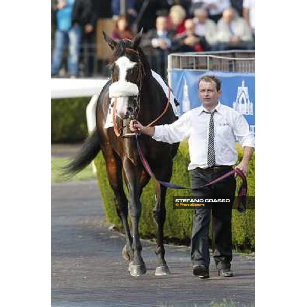 Vedelago Premio Roma GBI Racing Roma,Capannelle racecourse,3rd nov.2013 ph.Stefano Grasso
