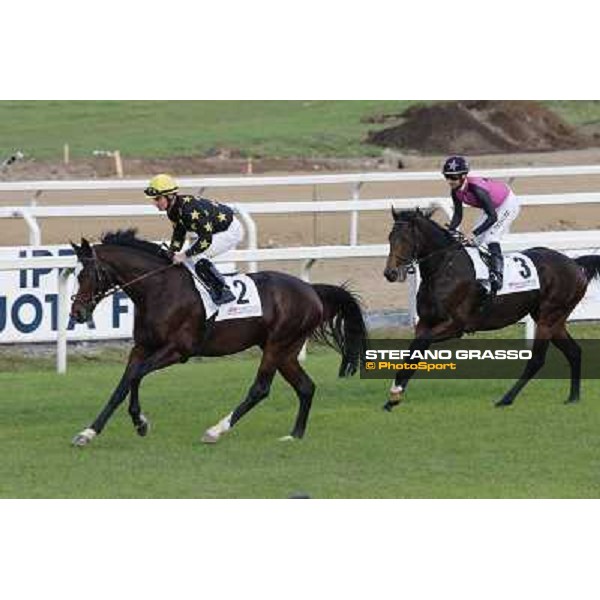 Fancy Beat Premio Roma GBI Racing Roma,Capannelle racecourse,3rd nov.2013 ph.Stefano Grasso