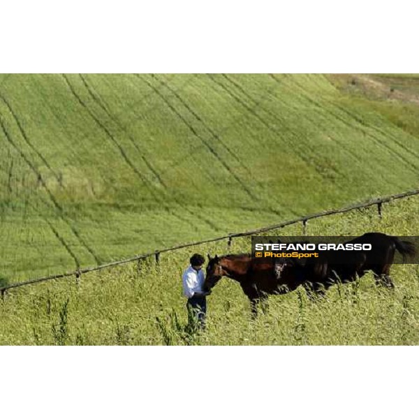 Federico Barberini with some yearlings at Stud Porta Medaglia Rome, 21st may 2005 ph. Stefano Grasso