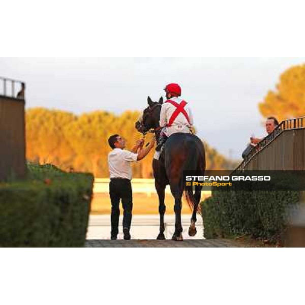 Andrea Atzeni on Bastiani enters the track before the start of the Premio Ribot Roma,Capannelle racecourse,3rd nov.2013 ph.Stefano Grasso