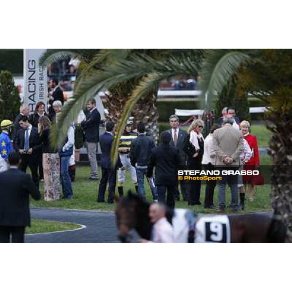 The paddock Roma,Capannelle racecourse,3rd nov.2013 ph.Stefano Grasso