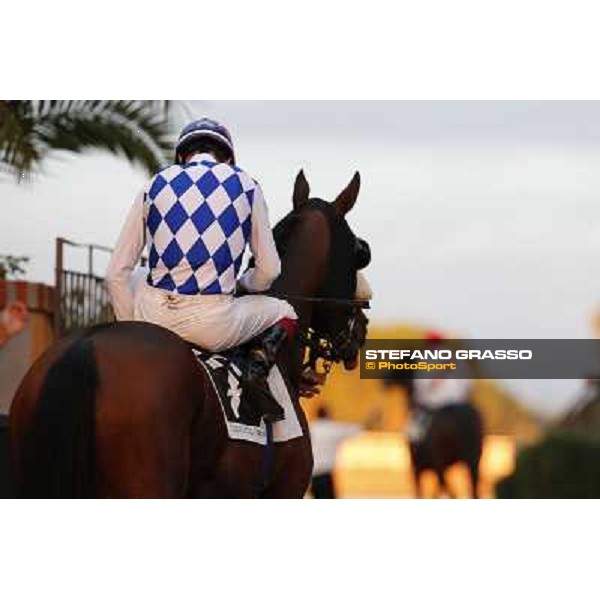 Fabio Branca on Principe Adepto Roma,Capannelle racecourse,3rd nov.2013 ph.Stefano Grasso