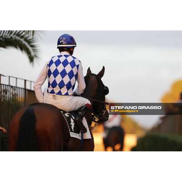 Fabio Branca on Principe Adepto Roma,Capannelle racecourse,3rd nov.2013 ph.Stefano Grasso