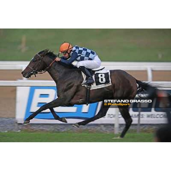 Gabriele Bietolini on Saint Bernard goes to win the Premio Ribot Roma,Capannelle racecourse,3rd nov.2013 ph.Stefano Grasso