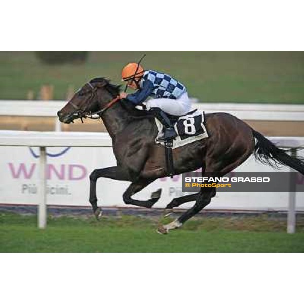 Gabriele Bietolini on Saint Bernard goes to win the Premio Ribot Roma,Capannelle racecourse,3rd nov.2013 ph.Stefano Grasso