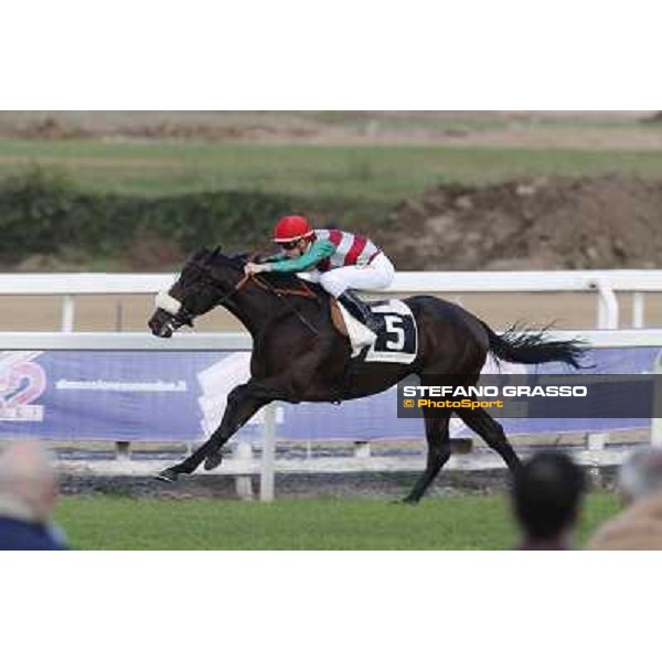 Cristian Demuro on Last Temptation wins the Premio Erice Roma,Capannelle racecourse,3rd nov.2013 ph.Stefano Grasso