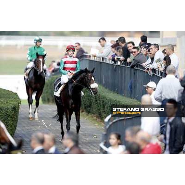 Cristian Demuro and Last Temptation return home after the finish of the Premio Erice Roma,Capannelle racecourse,3rd nov.2013 ph.Stefano Grasso