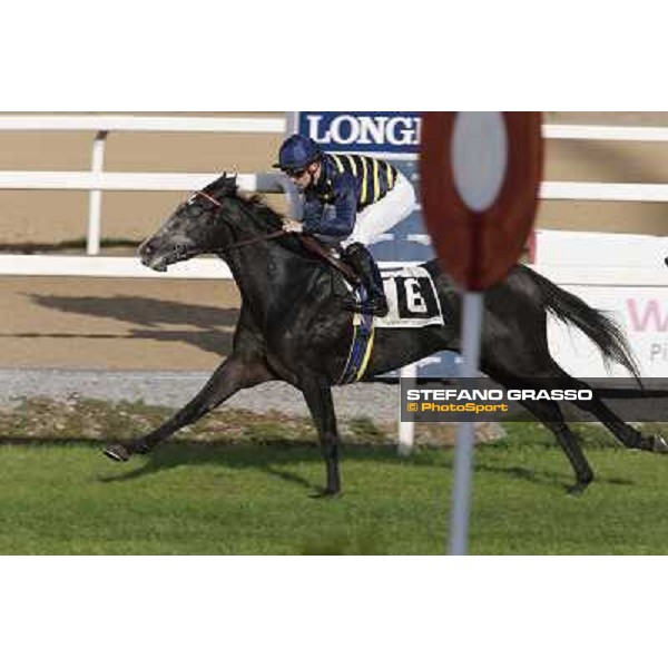 Dario Vargiu on Konkan wins the Premio Criterium Femminile Roma,Capannelle racecourse,3rd nov.2013 ph.Stefano Grasso