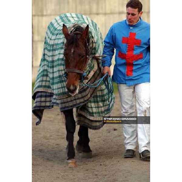 Prix du Bois de Vincennes Daguet Rapide after the race Paris febr.28 2004 ph.Stefano Grasso