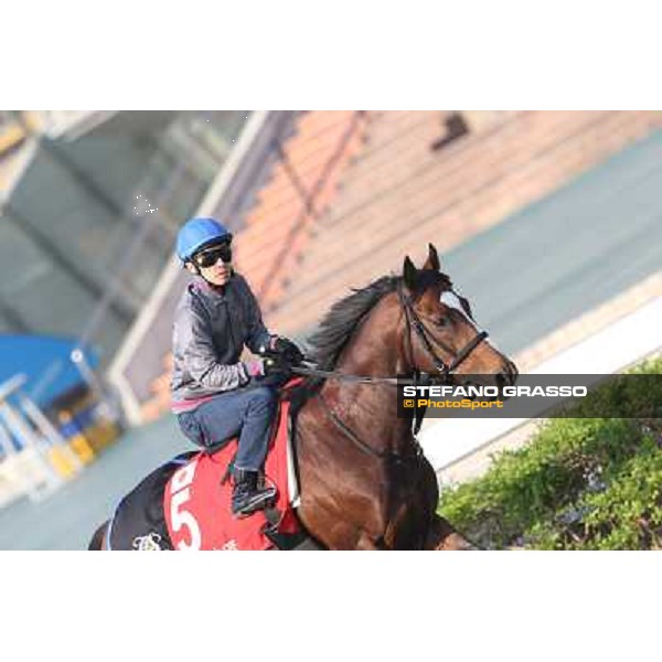 Yutaka Take on Tokei Halo Morning worksout at Sha Tin Hong Kong,4th dec.2013 ph.Stefano Grasso