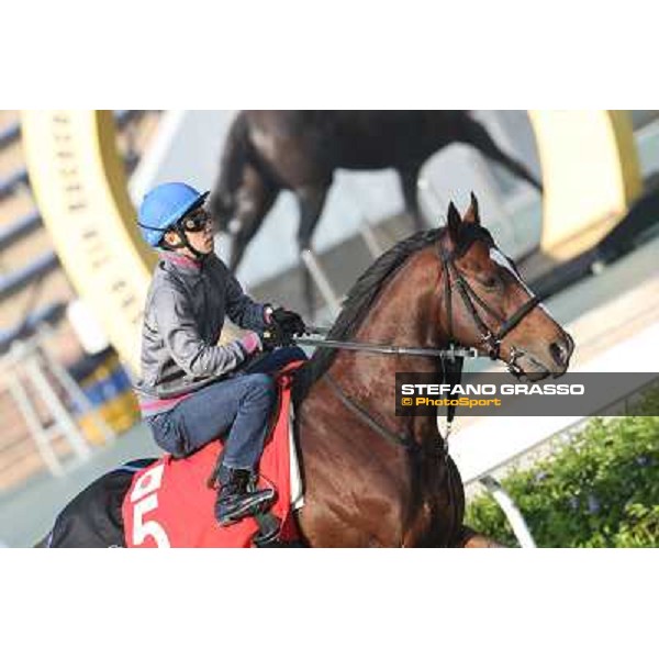 Yutaka Take on Tokei Halo Morning worksout at Sha Tin Hong Kong,4th dec.2013 ph.Stefano Grasso
