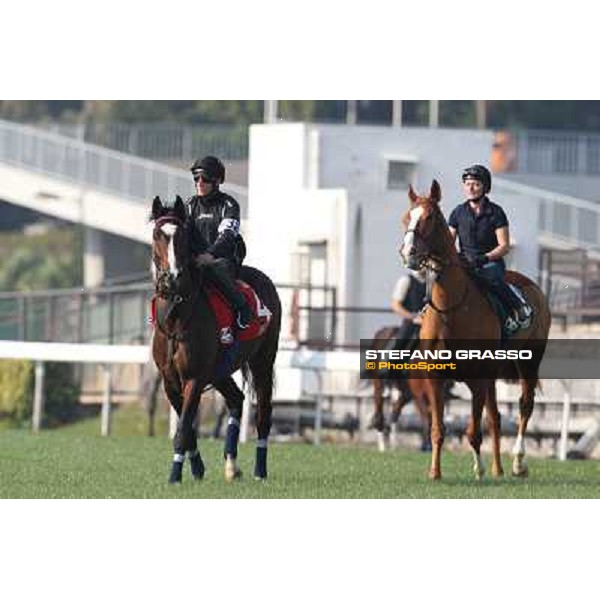 Andrasc Starke on Neatico Morning worksout at Sha Tin Hong Kong,4th dec.2013 ph.Stefano Grasso