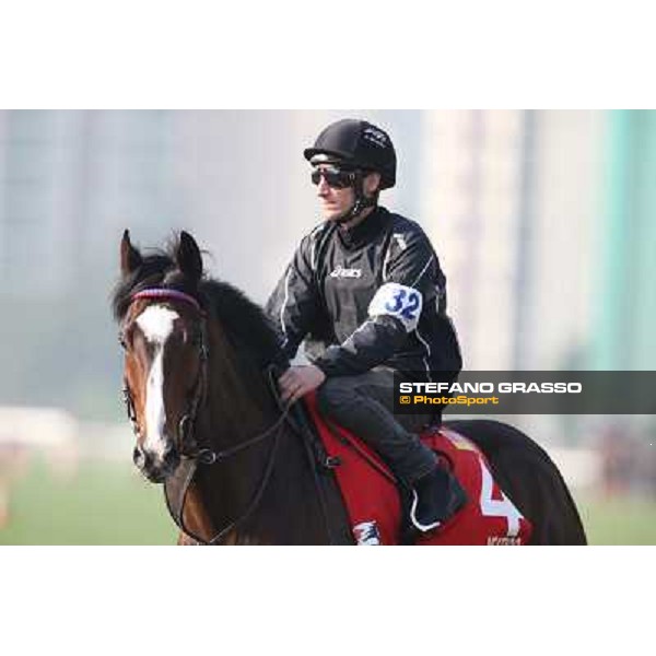 Andrasc Starke on Neatico Morning worksout at Sha Tin Hong Kong,4th dec.2013 ph.Stefano Grasso