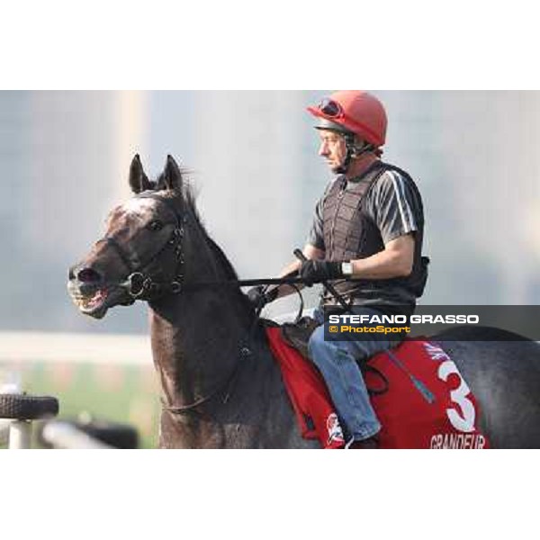 Grandeur Morning worksout at Sha Tin Hong Kong,4th dec.2013 ph.Stefano Grasso