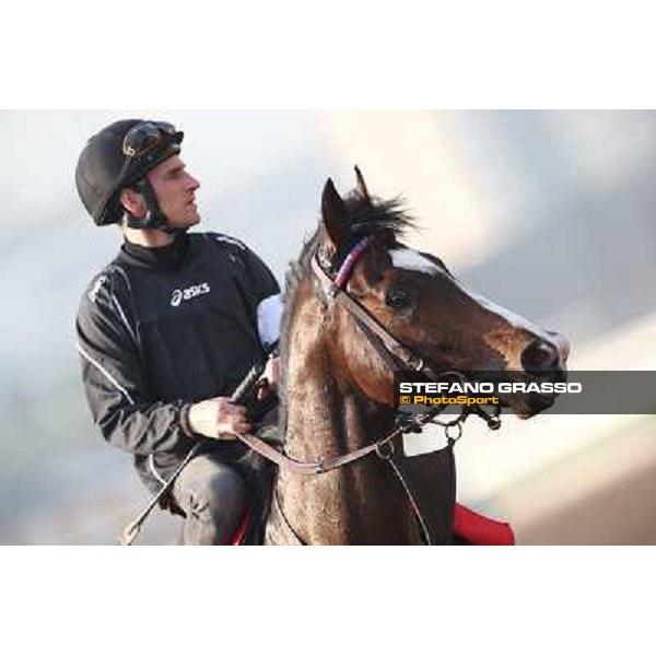 Andrasc Starke on Neatico Morning worksout at Sha Tin Hong Kong,4th dec.2013 ph.Stefano Grasso