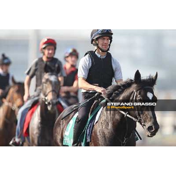 Morning worksout at Sha Tin Hong Kong,4th dec.2013 ph.Stefano Grasso