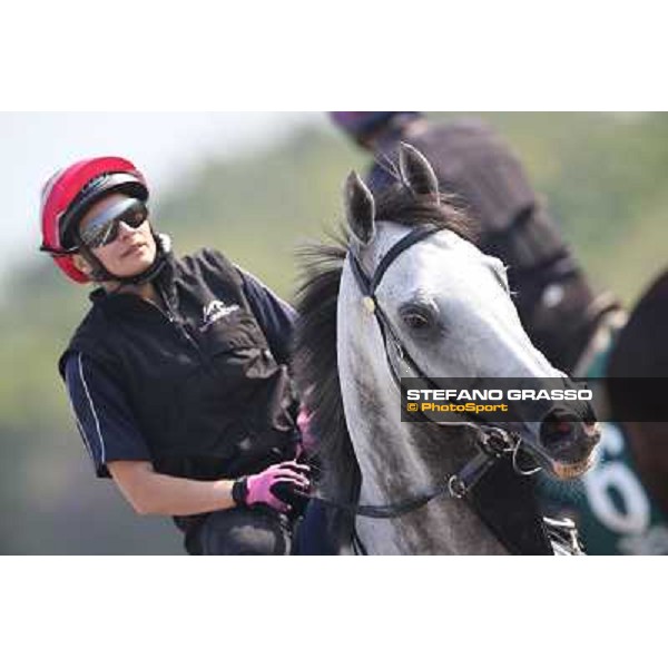 Linton Morning worksout at Sha Tin Hong Kong,4th dec.2013 ph.Stefano Grasso