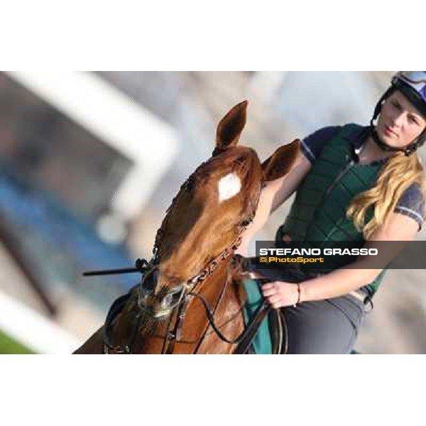 Ebiyza Morning worksout at Sha Tin Hong Kong,4th dec.2013 ph.Stefano Grasso