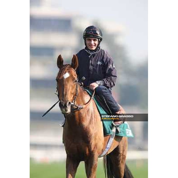 Andrea Atzeni on Seismos Morning worksout at Sha Tin Hong Kong,4th dec.2013 ph.Stefano Grasso