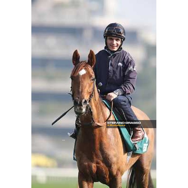 Andrea Atzeni on Seismos Morning worksout at Sha Tin Hong Kong,4th dec.2013 ph.Stefano Grasso