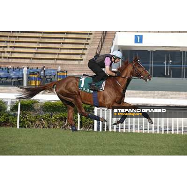 Red Cadeaux Morning worksout at Sha Tin Hong Kong,4th dec.2013 ph.Stefano Grasso