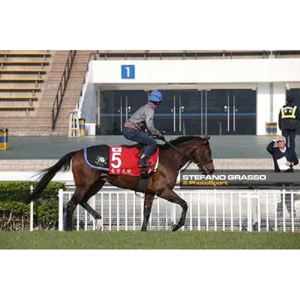 Yutaka Take on Tokei Halo Morning worksout at Sha Tin Hong Kong,4th dec.2013 ph.Stefano Grasso