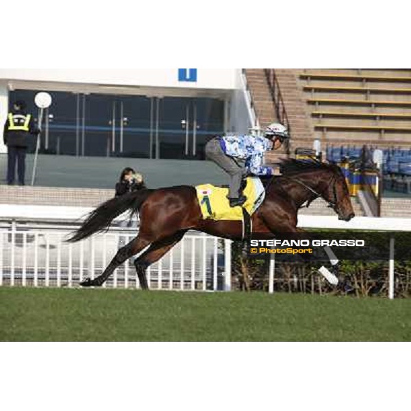Lord Kanaloa Morning worksout at Sha Tin Hong Kong,4th dec.2013 ph.Stefano Grasso