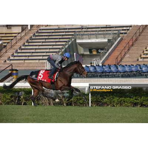 Yutaka Take on Tokei Halo Morning worksout at Sha Tin Hong Kong,4th dec.2013 ph.Stefano Grasso